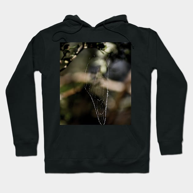 rbs lace Hoodie by pcfyi